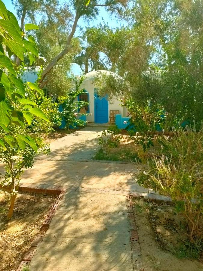 Panta Lodge Siwa Siwa Oasis Bagian luar foto